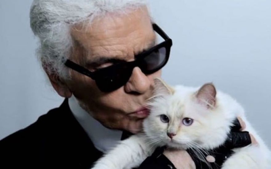 Geliefde poes Karl Lagerfeld maakt kans op deel erfenis